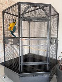 Gabbia voliera per pappagalli