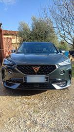 Cupra Formentor 2.0 310cv