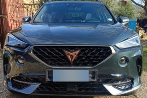 Cupra Formentor 2.0 310cv