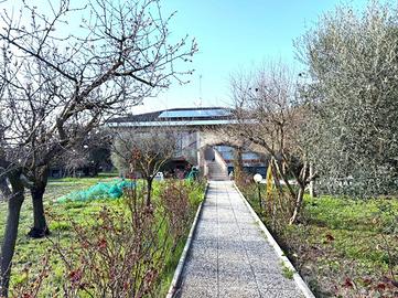 VILLA SINGOLA A FANO