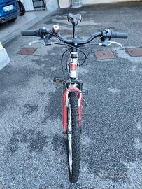 Mountain bike ragazzo