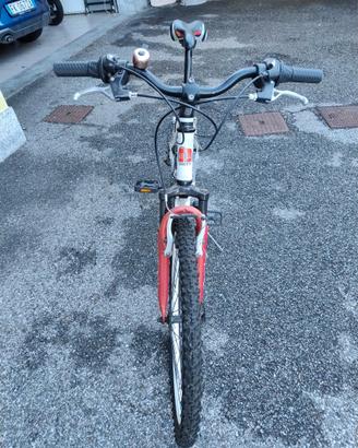 Mountain bike ragazzo