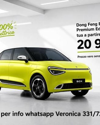 Dongfeng Box premium edition 100% elettrica