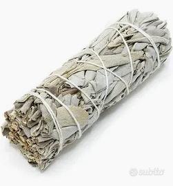 salvia bianca peruviana