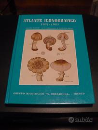 Atlante iconografico