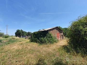 Terreno di 3039 m² a Vitorchiano