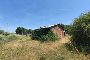 Terreno di 3039 m² a Vitorchiano