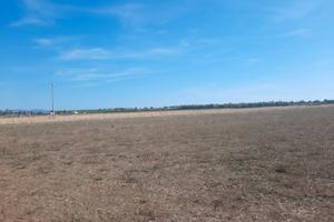 Terreno agricolo Piombino (Alturetta)