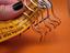 Immagine 4