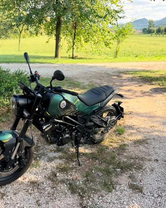 Benelli leoncino 125 2024