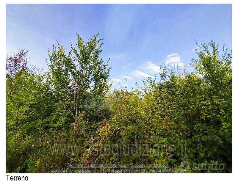Terreno Agricolo Pistoia [A4353904] - Vista 2