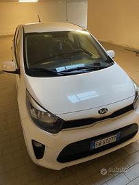 Kia picanto usata