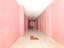 Immagine 10