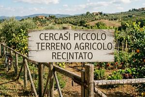 Piccolo terreno agricolo
