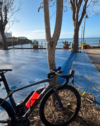 Bici da corsa Giant