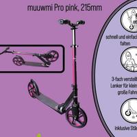 2 MONOPATTINI (non elettrico)