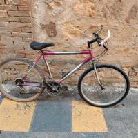 Bicicletta Mountain bike