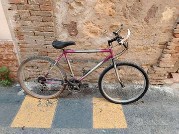 Bicicletta Mountain bike