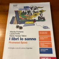 I libri lo sanno. Promessi Sposi