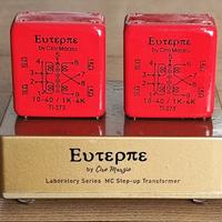 trasformatori step up MC 1:20 Euterpe Ciro Marzio 