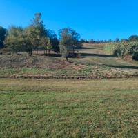 Terreno di 8 ettari a Lari (PI)