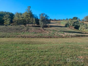 Terreno di 8 ettari a Lari (PI)