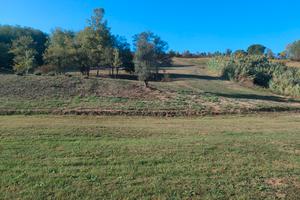 Terreno di 8 ettari a Lari (PI)