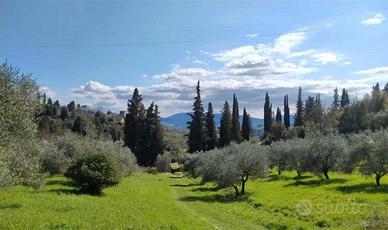 Manutenzione terreni giardiniere