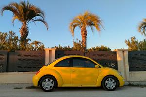 New beetle 