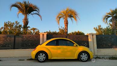New beetle 