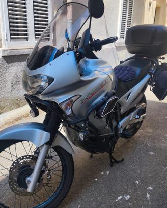 Honda Transalp 650cc anno 2006