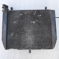 RADIATORE YAMAHA R1 2000 2001