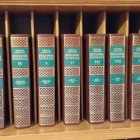 Enciclopedia Universale Rizzoli Larousse