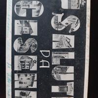 Cartolina Cesena 2906