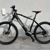 Mtb elettrica