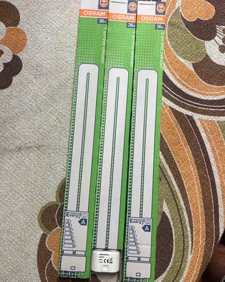 Lampadina Osram 2g11 36 w
