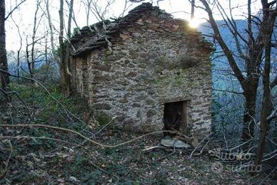 Lago Maggiore fabbricato con 3.500 mq. di terreno