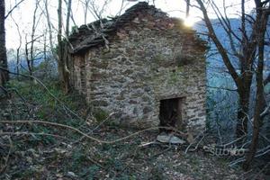 Lago Maggiore fabbricato con 3.500 mq. di terreno