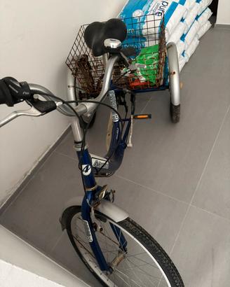 Triciclo Bici per adulto