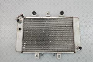 RADIATORE ACQUA POLARIS PREDATOR 500 2005 2006 500
