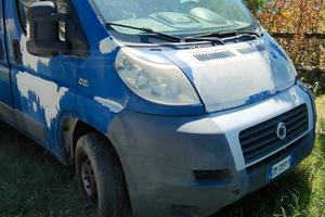 FIAT Ducato (1ª serie) - 2007