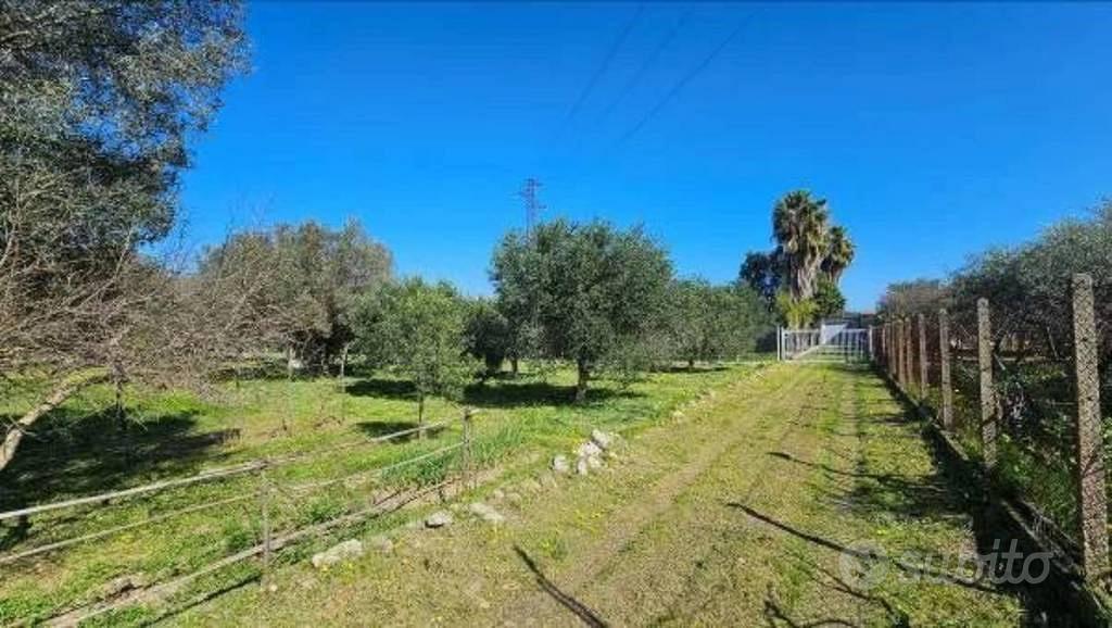 Immobile in asta di 2216 m² a Portigliola - Vista 4