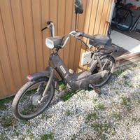 Piaggio ciao 50