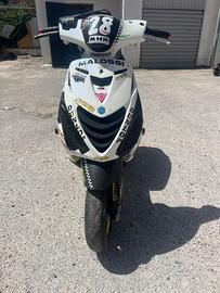 Zip Mk2 Malossi