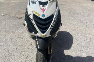 Zip Mk2 Malossi