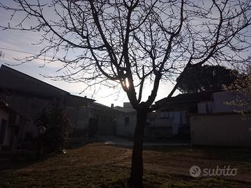 Casa singola con giardino privato