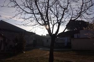 Casa singola con giardino privato