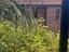 Immagine 12