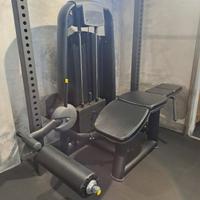 attrezzi palestra Nuovi prone leg curl 