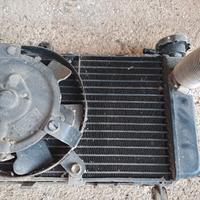 Radiatore Honda Hornet 600 